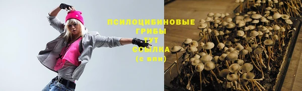 МДПВ Алексин