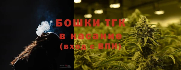 шишки Алзамай