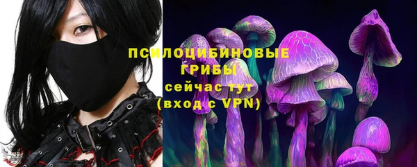 шишки Алзамай